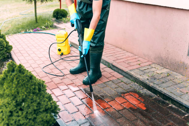 Best Solar Panel Cleaning  in Fannett, TX